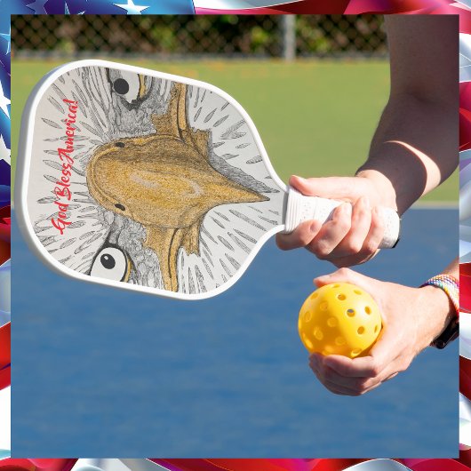 アメリカン・イーグル ピックルボールラケット