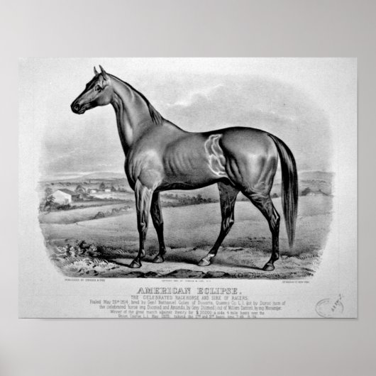 アメリカン・エクリプス ポスター (正面)