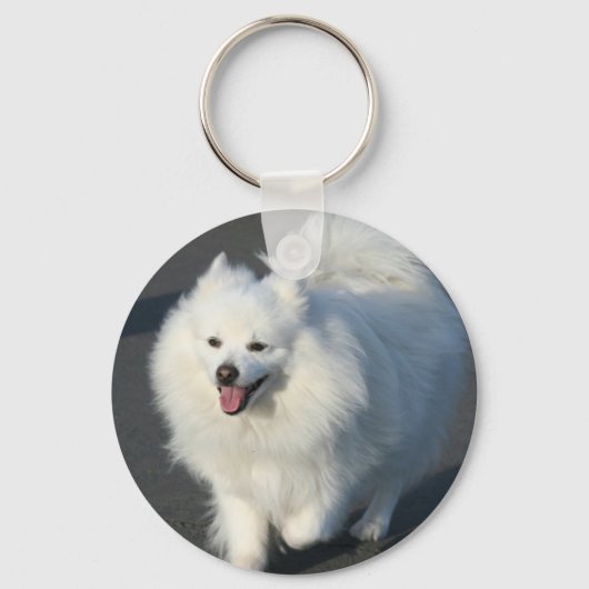 アメリカン・エスキモー・キーチェーン キーホルダー (正面)