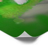 アメリカン・エスキモー・ドッグのポスター ポスター (角)