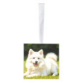 アメリカン・エスキモー・ドッグ2枚の写真クリスマスホリデー キューブオーナメント (右)