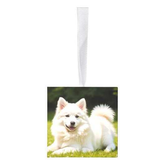 アメリカン・エスキモー・ドッグ2枚の写真クリスマスホリデー キューブオーナメント (右)