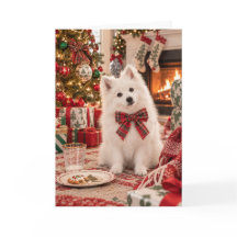 アメリカン・エスキモー・ドッグ クリスマスカード