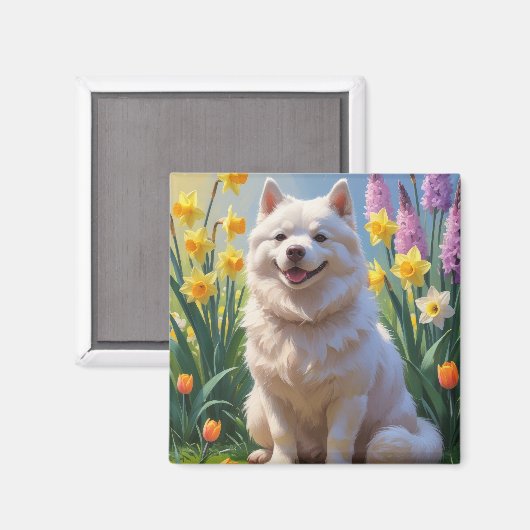 アメリカン・エスキモー・ドッグ 春の花の絵 マグネット (正面/裏面)