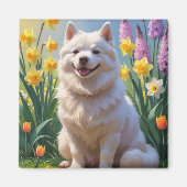 アメリカン・エスキモー・ドッグ 春の花の絵 マグネット (正面)
