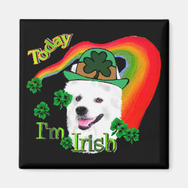 アメリカン・エスキモー・ドッグSt patricks マグネット