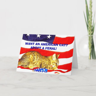 アメリカン・キャットが欲しい？フェラルを採用！ カード