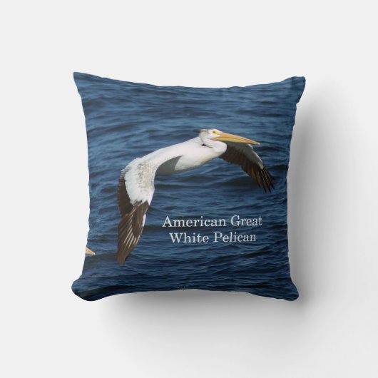 アメリカン グレート ホワイト ペリカン スクエア ピロー (正面)