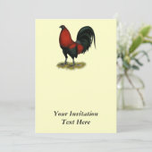 アメリカン·ゲームBB黒赤鶏 招待状 (スタンド正面)