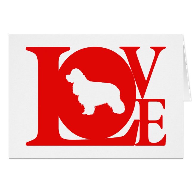 アメリカン・コッカー・スパニエル (正面横)