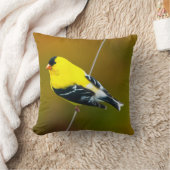 アメリカン・ゴールドフィンチ – オリジナル写真 クッション (ブランケット)