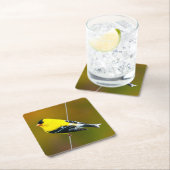 アメリカン・ゴールドフィンチ – オリジナル写真 スクエアペーパーコースター (インサイチュ)