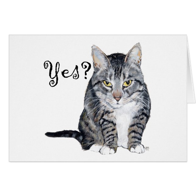 アメリカン・ショートヘア・キャット – Yes? (正面横)