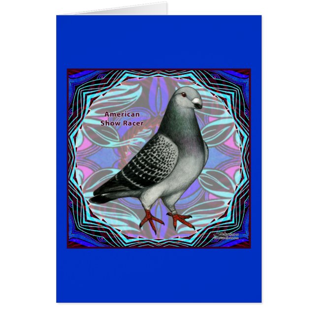 アメリカン・ショー・レーサー (正面)