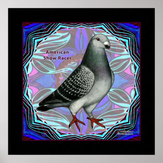 アメリカン・ショー・レーサー ポスター (正面)