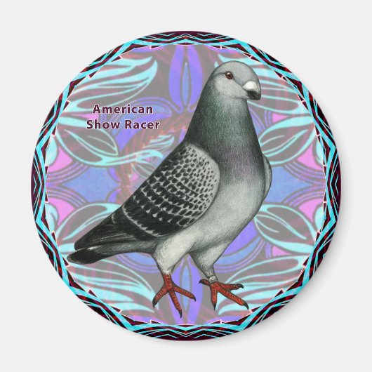 アメリカン・ショー・レーサー マグネット (正面)