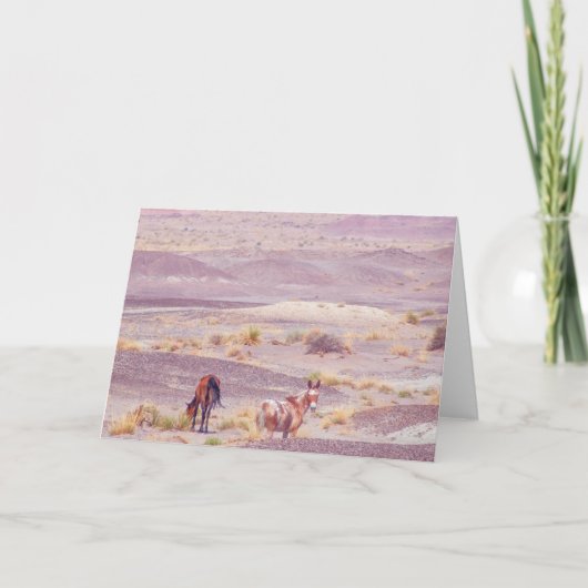 アメリカン・デザートウマP8670 カード (正面)