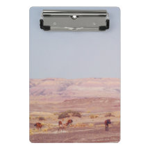 アメリカン・デザートウマP8670