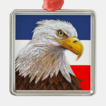 アメリカン·ハゲワシ