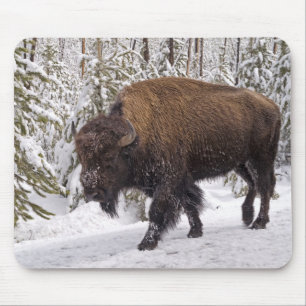 アメリカン・バイソン(Bison bison)マウス・パッド マウスパッド