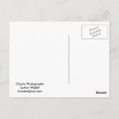 アメリカン・バーン ポストカード (裏面)