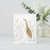 アメリカン・パターン葉書 ポストカード (スタンド正面)