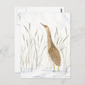 アメリカン・パターン葉書 ポストカード (正面/裏面)