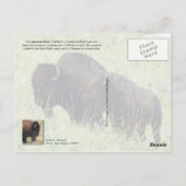 アメリカン・ビソン・オン・コイン ポストカード (裏面)