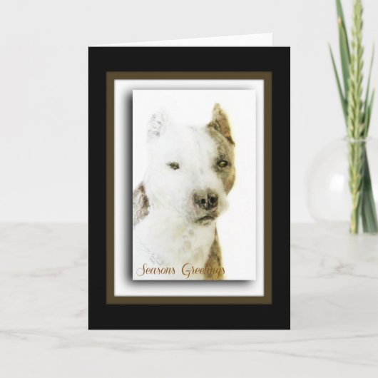 アメリカン・ピットブル・テリア シーズンカード (正面)