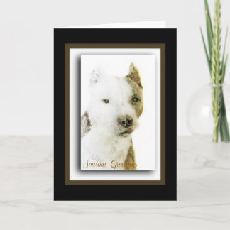 アメリカン・ピットブル・テリア シーズンカード