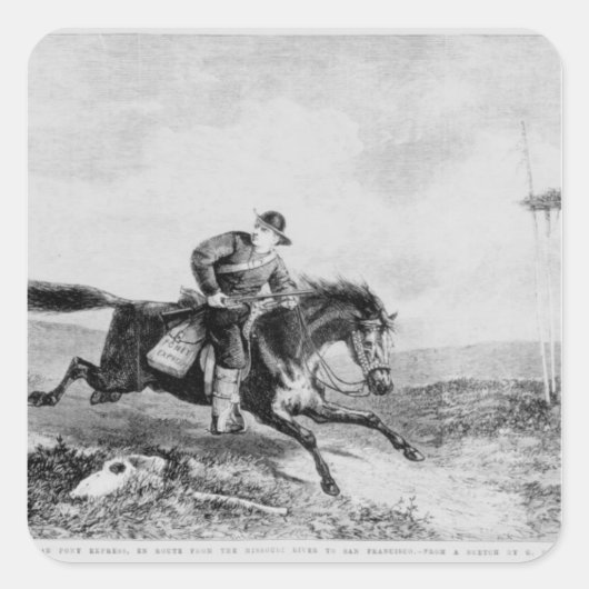 アメリカン・ポニー表現 スクエアシール (正面)