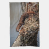 アメリカン・ミンク キッチンタオル (縦)