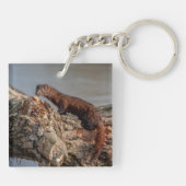 アメリカン・ミンク キーホルダー (裏面)