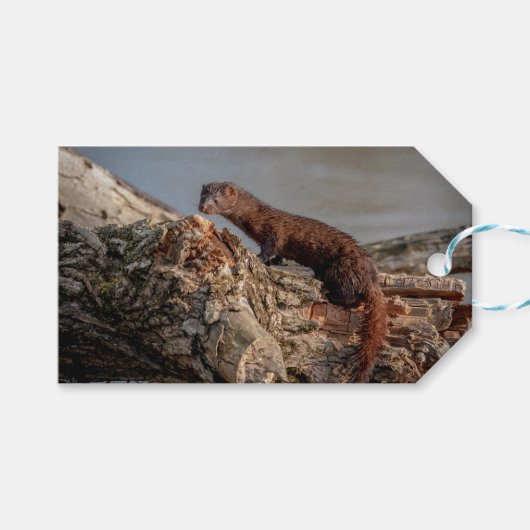 アメリカン・ミンク ギフトタグ (正面(横))