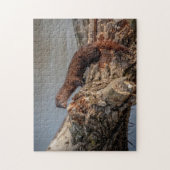 アメリカン・ミンク ジグソーパズル (縦)