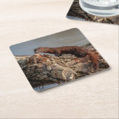 アメリカン・ミンク スクエアペーパーコースター (アングル)