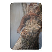 アメリカン・ミンク バスマット (正面縦)