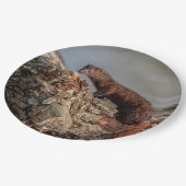 アメリカン・ミンク ペーパープレート (アングル)