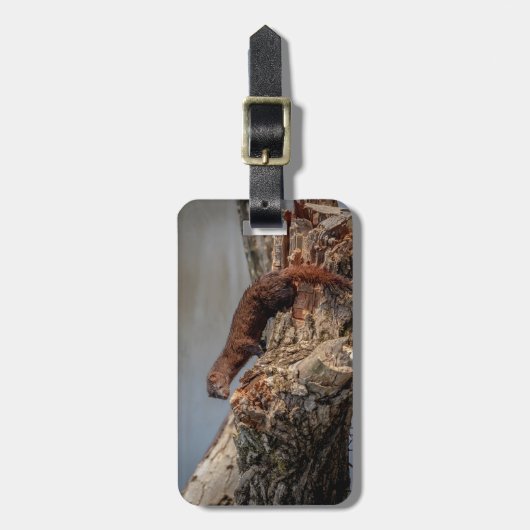 アメリカン・ミンク ラゲッジタグ (正面縦)