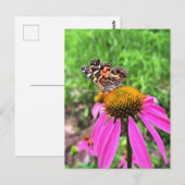 アメリカン・レディ ポストカード (正面/裏面)