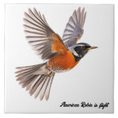 アメリカン・ロビンが飛んでいる タイル (正面)