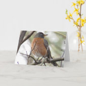 アメリカン・ロビン・グリーティング・カード カード (黄色い花)