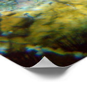 アメリカヴァージン諸島のホークスビル海カメ ポスター (角)