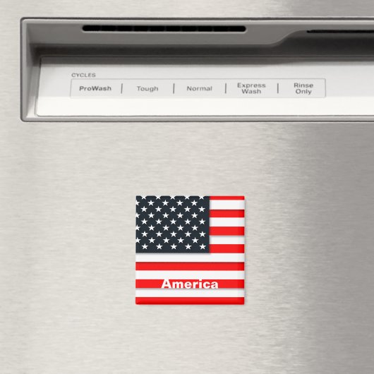 アメリカヴィンテージ旅行観光 マグネット (インサイチュ (食洗機))