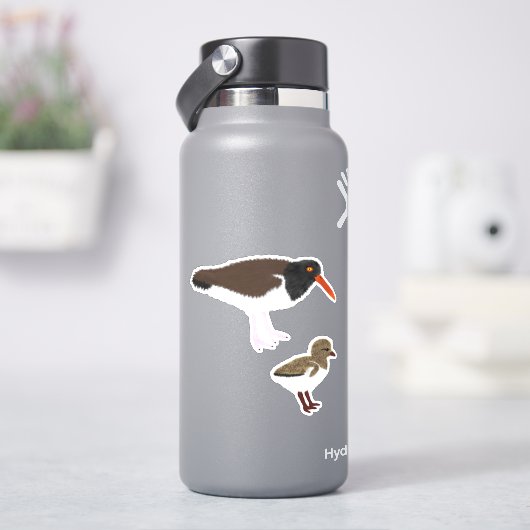 アメリカ人のヒック付きオイスターキャッチャー シール (HydroFlask)