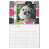 アメリカ人のブリュッセルGriffonの救助の同盟のカレンダー カレンダー (2月 2027)