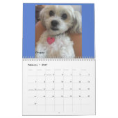 アメリカ人のラサApsoクラブ救助2018のカレンダーPt.2 カレンダー (2月 2027)