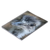 アメリカ人のリアのポートレート ノートブック (左側)