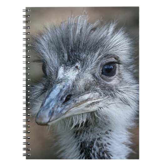 アメリカ人のリアのポートレート ノートブック (正面)