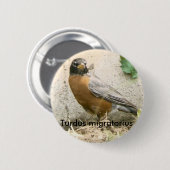 アメリカ人のロビンボタン 缶バッジ (正面&裏面)